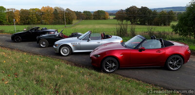 Roadster Treffen1.jpg