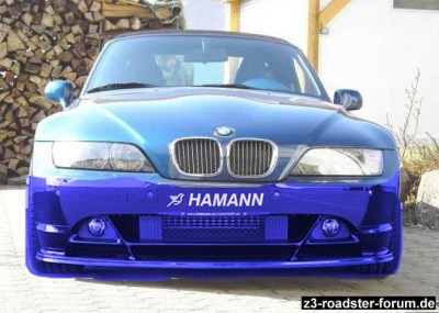 hamann.jpg