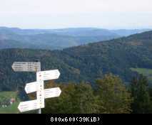 Aussicht vom Hochblauen