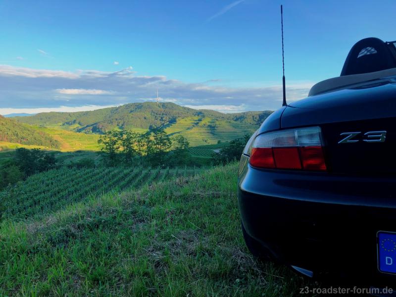 Am Kaiserstuhl